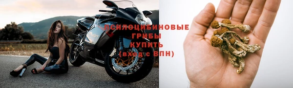 ECSTASY Надым