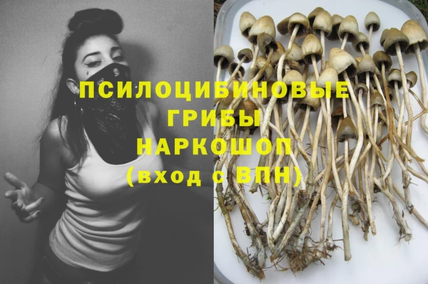 spice Арсеньев