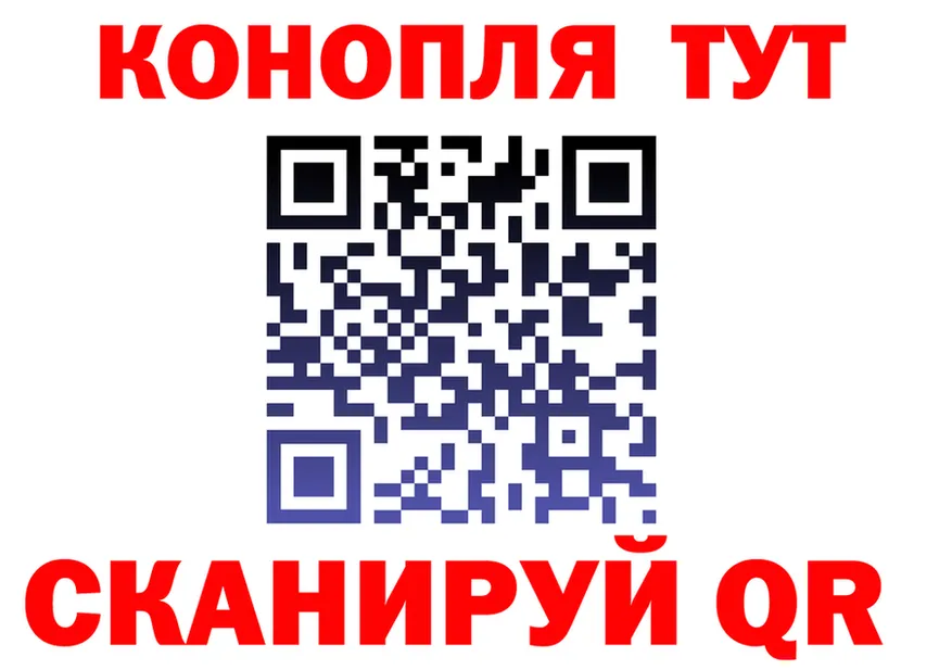 Альфа ПВП СК КРИС сайт это MEGA Правдинск