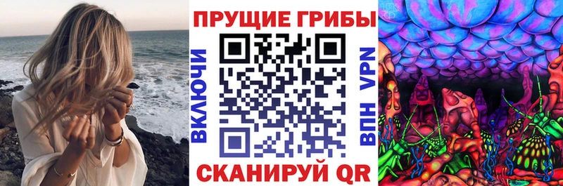 Галлюциногенные грибы мицелий  сколько стоит  Правдинск 
