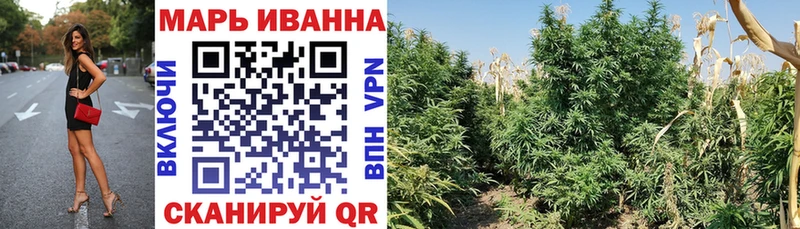 Каннабис OG Kush Правдинск